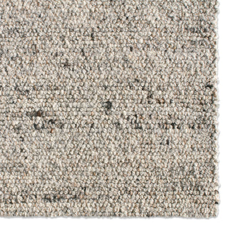Jaipur Living Navarra Burch NVA02 Gray/Brown Area Rug Detail Image