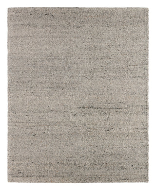 Jaipur Living Navarra Burch NVA02 Gray/Brown Area Rug main image