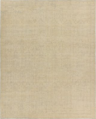 Jaipur Living Onessa Nell ONE01 Tan/Slate Area Rug