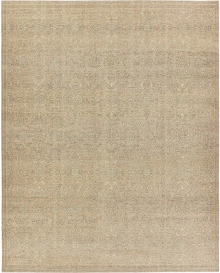 Jaipur Living Onessa Earl ONE02 Tan/Gray Area Rug