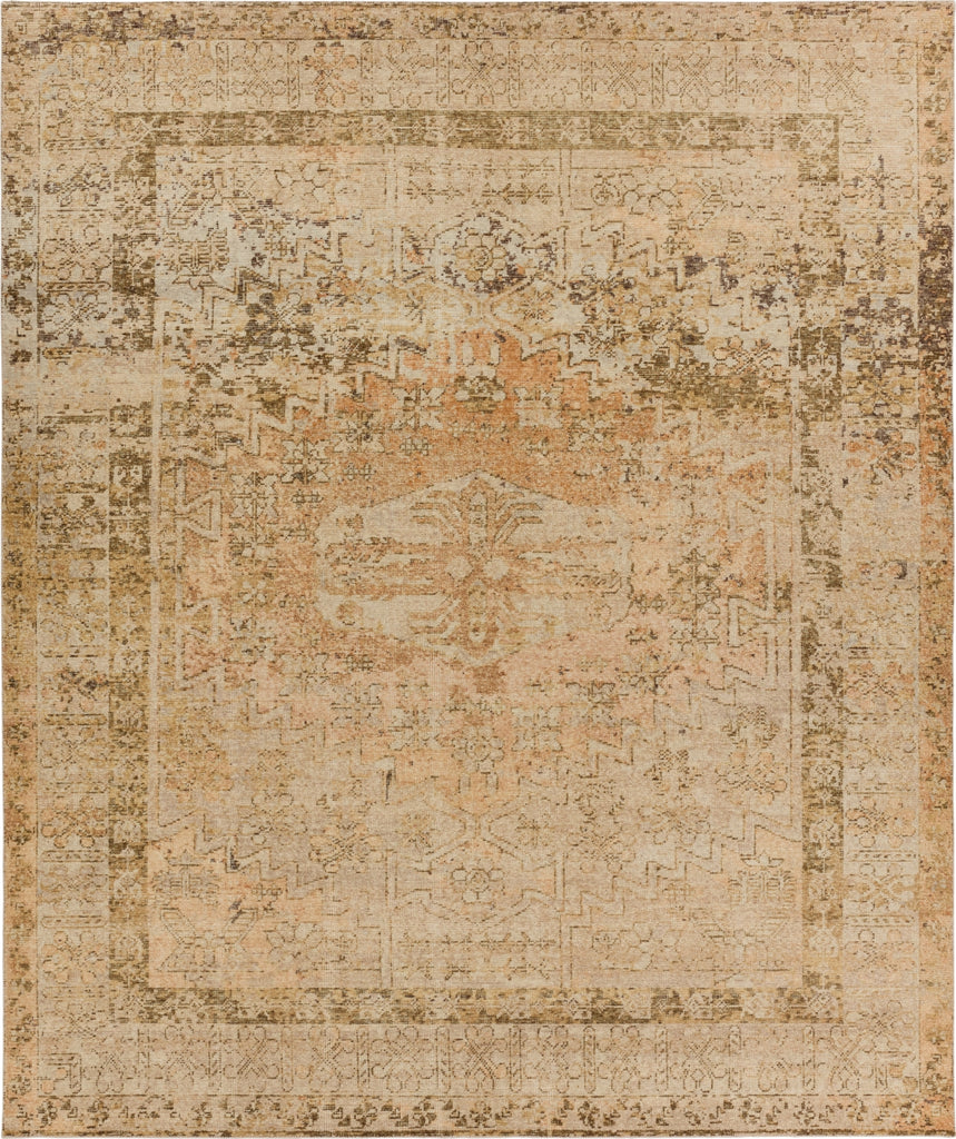 Jaipur Living Onessa Elinor ONE06 Brown/Terracotta Area Rug