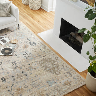 Jaipur Living Orenda ORN04 Area Rug Collection Image