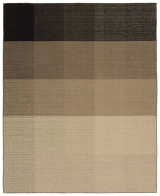 Jaipur Living Pleda Ronin PLE02 Tan/Black Area Rug main image