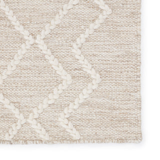 Jaipur Living Plateau Moab PLT01 Light Gray/Ivory Area Rug Detail Image