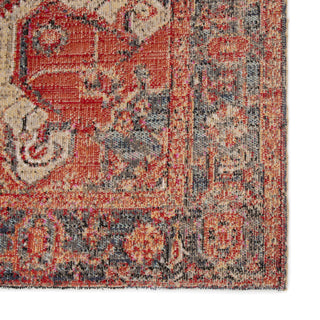 Jaipur Living Polaris Leighton POL06 Red/Blue Area Rug Detail Image