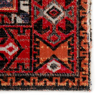 Jaipur Living Polaris Paloma POL19 Red/Black Area Rug Detail Image