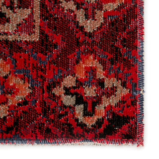 Jaipur Living Polaris Chaya POL21 Red/Black Area Rug Detail Image