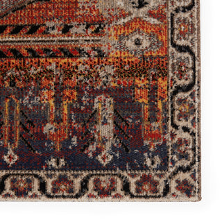 Jaipur Living Polaris Cicero POL40 Multicolor/Orange Area Rug Detail Image