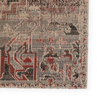 Jaipur Living Polaris Altona POL49 Multicolor/Beige Area Rug Detail Image