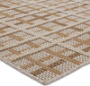 Jaipur Living Paradizo Cecily PRA06 Brown/Cream Area Rug