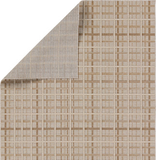 Jaipur Living Paradizo Cecily PRA06 Brown/Cream Area Rug