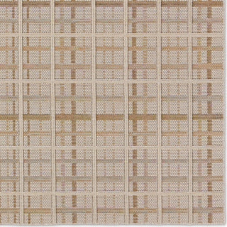 Jaipur Living Paradizo Cecily PRA06 Brown/Cream Area Rug