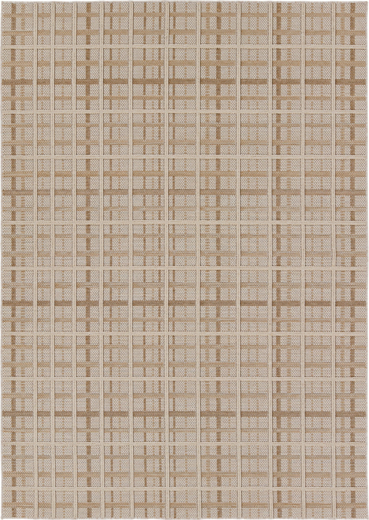 Jaipur Living Paradizo Cecily PRA06 Brown/Cream Area Rug