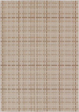 Jaipur Living Paradizo Cecily PRA06 Brown/Cream Area Rug