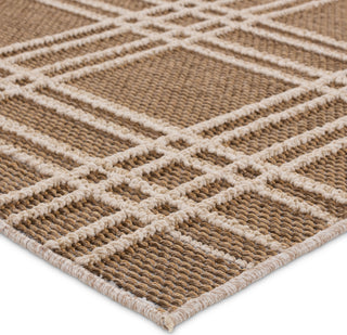 Jaipur Living Paradizo Barrett PRA07 Brown/Cream Area Rug