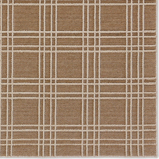 Jaipur Living Paradizo Barrett PRA07 Brown/Cream Area Rug