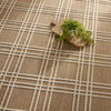 Jaipur Living Paradizo Barrett PRA07 Brown/Cream Area Rug