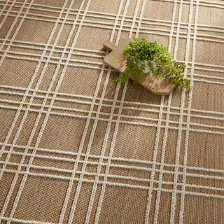 Jaipur Living Paradizo Barrett PRA07 Brown/Cream Area Rug