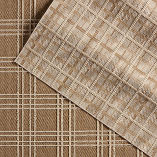 Jaipur Living Paradizo Barrett PRA07 Brown/Cream Area Rug