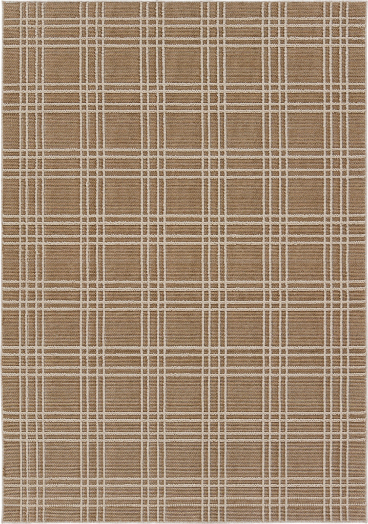 Jaipur Living Paradizo Barrett PRA07 Brown/Cream Area Rug