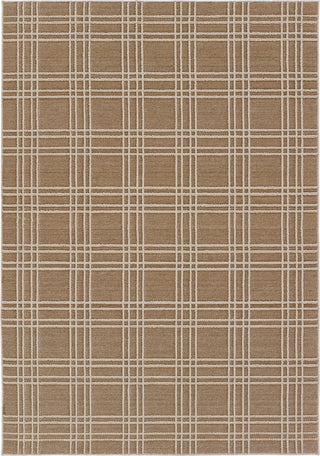 Jaipur Living Paradizo Barrett PRA07 Brown/Cream Area Rug