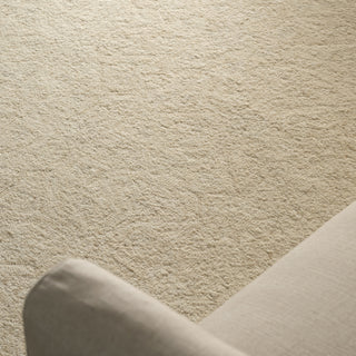 Jaipur Living Province Arlette PRO10 Tan/White Area Rug Detail Image