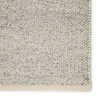Jaipur Living Pasadena Lamanda PSD01 Light Gray/Ivory Area Rug Detail Image
