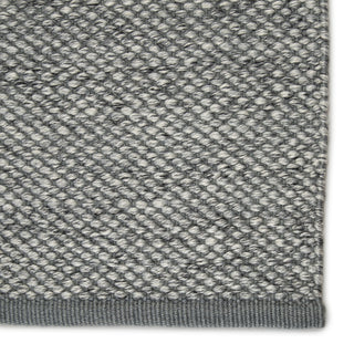 Jaipur Living Pasadena Lamanda PSD02 Gray/Ivory Area Rug Detail Image