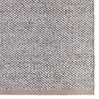 Jaipur Living Pasadena Lamanda PSD03 Taupe/Gray Area Rug Detail Image