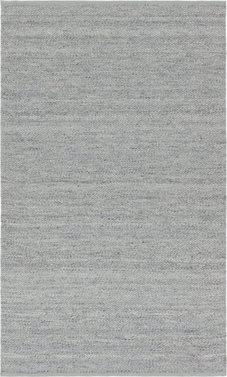 Jaipur Living Pasadena Lamanda PSD04 Gray/Light Blue Area Rug