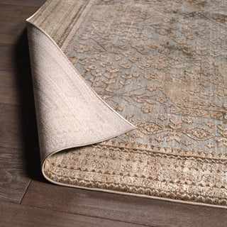Jaipur Living Patterned Silence Eliora PSE01 Gray/Blue Area Rug Lifestyle Image Feature