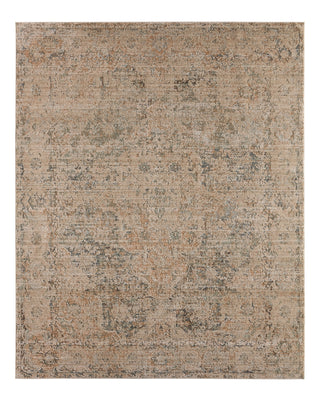 Jaipur Living Patterned Silence Emery PSE02 Gray / Blue Area Rug main image