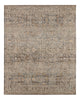 Jaipur Living Patterned Silence Caelena PSE04 Gray / Multicolor Area Rug main image