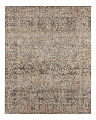 Jaipur Living Patterned Silence Caelena PSE04 Gray / Multicolor Area Rug main image
