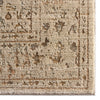 Jaipur Living Patterned Silence Rosealyn PSE05 Gray / Yellow Gold Area Rug Corner