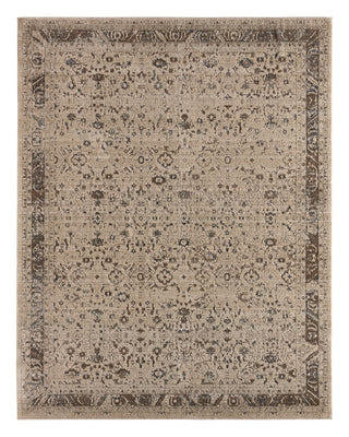 Jaipur Living Patterned Silence Noelle PSE07 Gray Area Rug main image