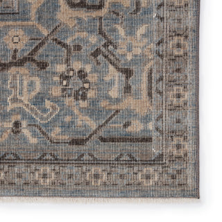 Jaipur Living Pasha PSH07 Area Rug Detail Image