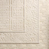 Jaipur Living Petros Marvelle PTR01 Cream/ Area Rug Lifestyle Image Feature