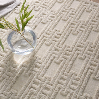 Jaipur Living Petros Torean PTR03 Cream/ Area Rug