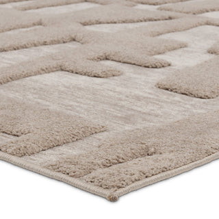 Jaipur Living Petros Corsen PTR07 Gray/ Area Rug Corner Image