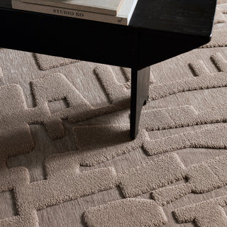 Jaipur Living Petros Corsen PTR07 Gray/ Area Rug Detail Image