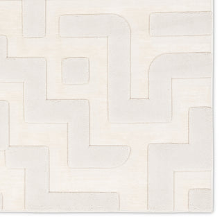 Jaipur Living Petros Braen PTR08 Ivory/ Area Rug Detail Image