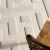 Jaipur Living Petros Braen PTR08 Ivory/ Area Rug Detail Image