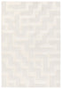 Jaipur Living Petros Braen PTR08 Ivory/ Area Rug Main Image