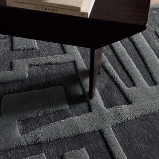 Jaipur Living Petros Cade PTR09 Gray/ Area Rug Detail Image