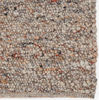Jaipur Living Quiet Time Hadren QTM02 Light Gray/Tan Area Rug Detail Image