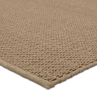 Jaipur Living Quinton Rayan QTN02 Brown Area Rug