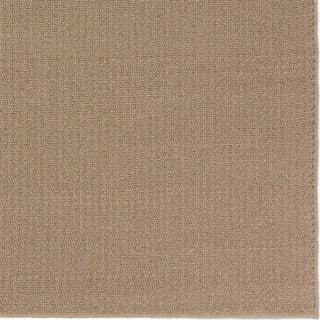 Jaipur Living Quinton Rayan QTN02 Brown Area Rug