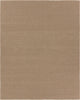 Jaipur Living Quinton Rayan QTN02 Brown Area Rug