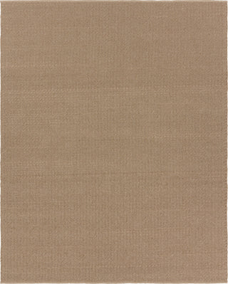 Jaipur Living Quinton Rayan QTN02 Brown Area Rug